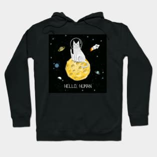 Cats in space. Hoodie